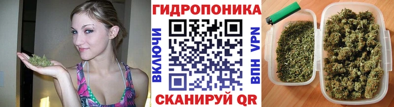 Купить наркотики цена Невьянск МЕТАДОН  Alpha PVP  Амфетамин  Меф мяу мяу  Канабис  Cocaine  ГАШ 